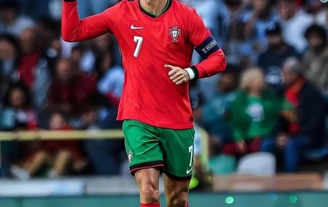 NG体育- c罗助理 