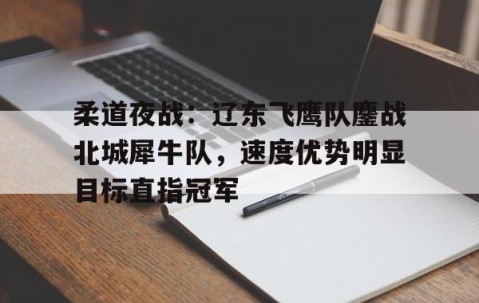 NG体育-关于柔道夜战：辽东飞鹰队鏖战北城犀牛队，速度优势明显目标直指冠军的信息