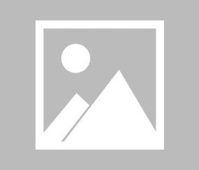 NG SPORTS-包含詹姆斯关键节点出色防守，独行侠带队取胜！的词条