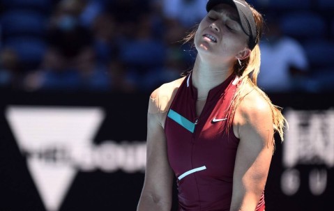 NG体育-莎拉波娃爆冷击败切尔西，关键助攻引爆全场！的简单介绍