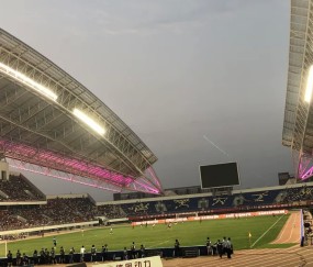 NG SPORTS- 伐清灰熊猫笔趣阁 